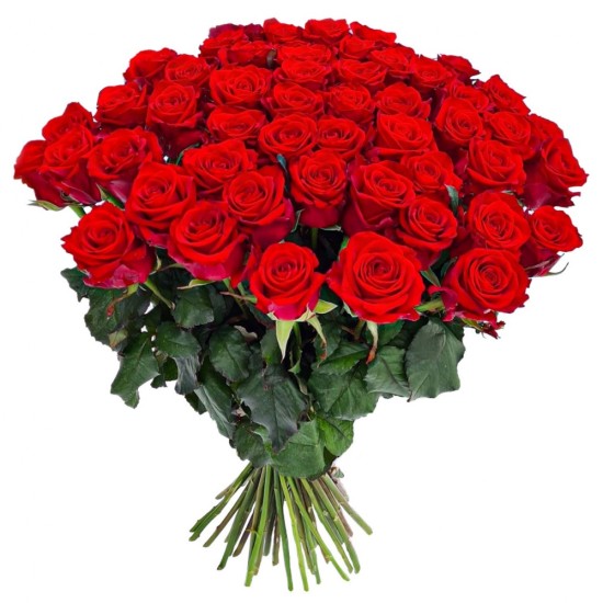 Premium klasės 50 raudonų rožių puokštė