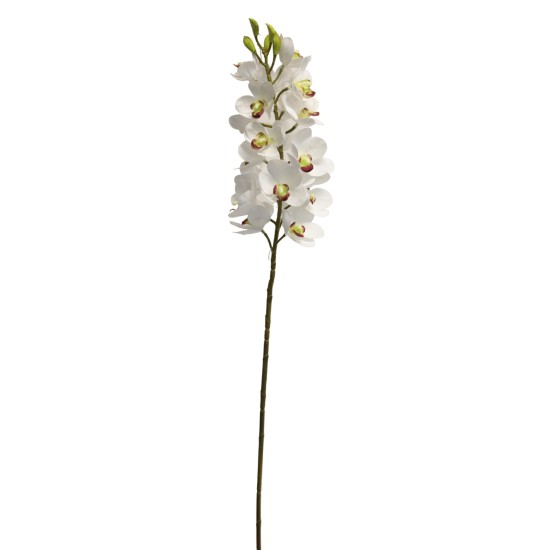 Dirbtinė orchidėja phalaeanopsis