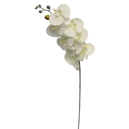 Dirbtinė orchidėja cymbydium