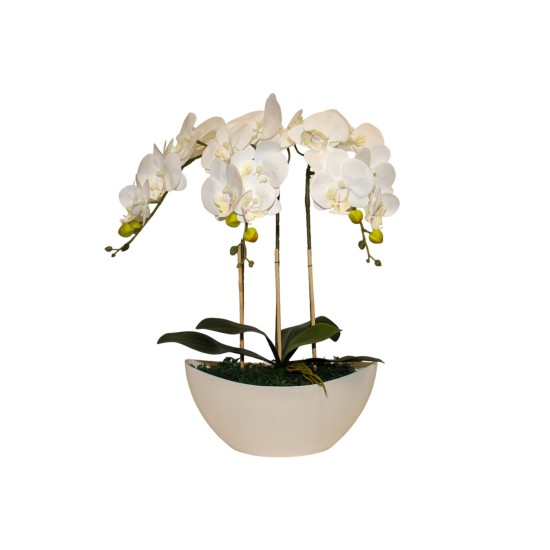 Dirbtinė orchidėja balta, 55cm