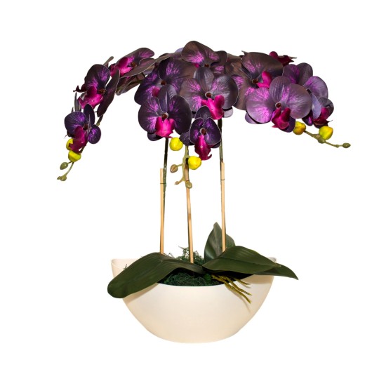 Dirbtinė orchidėja tamsiai violetinė, 55cm