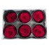 Miegančios rožės VERDISSIMO Premium Rose