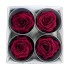 Miegančios rožės VERDISSIMO Premium Rose