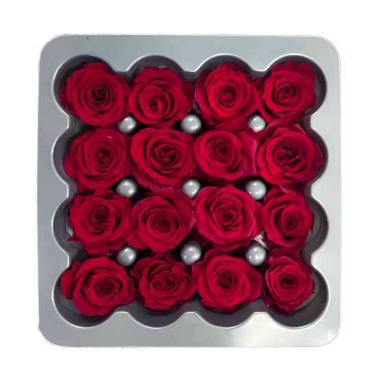 Miegančios rožės VERDISSIMO Premium Rose