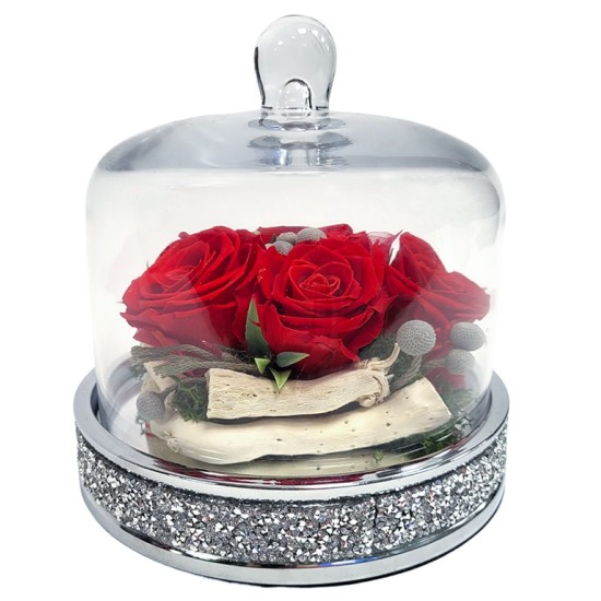 Composition of a sleeping rose under glass