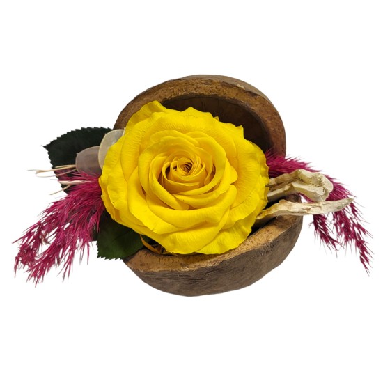 Composition of sleeping rose in Buddha's nut
