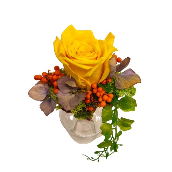 Miegančios rožės kompozicija ant stiklo vazelės, geltona