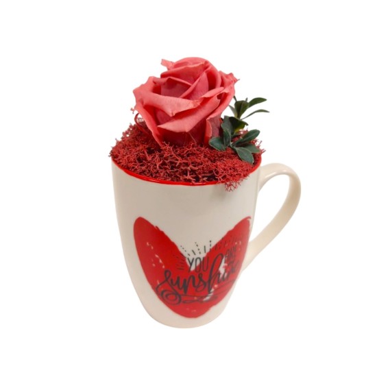 Miegančios rožės kompozicija keramikiniame puodelyje
