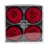 Miegančios rožės VERDISSIMO Premium Rose