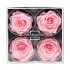 Miegančios rožės VERDISSIMO Premium Rose