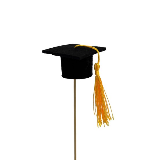 Studento kepurėlė, smeigtukas į puokštę