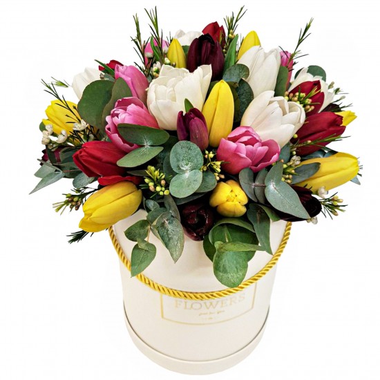 Gėlių dėžutė su tulpėmis „Pavasarėlis“