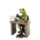 Frog accountant