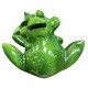 Frog piggy bank